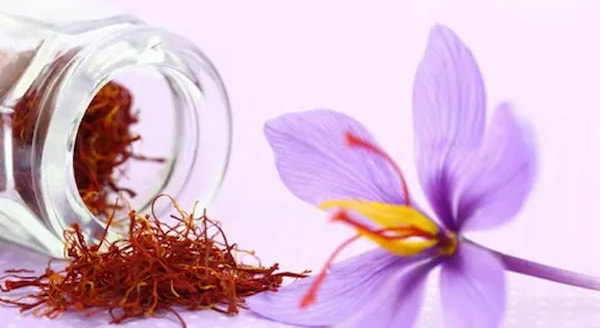 تصویر 2 از خرید و قیمت پودر زعفران + فروش صادراتی
